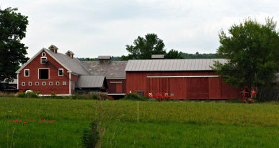 Hartland Farm