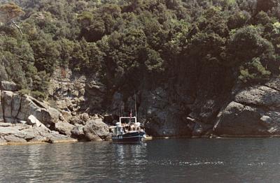 Boat in Tigullio Cove