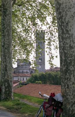 Framed Lucca tower