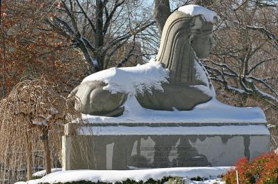 Snowy Sphinx