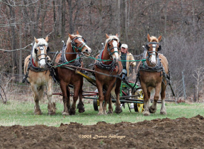 Plowing with a team of horses