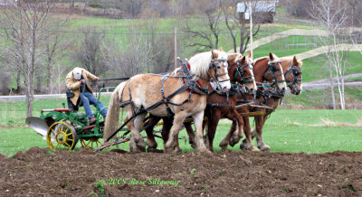 Earl and the Plow Team