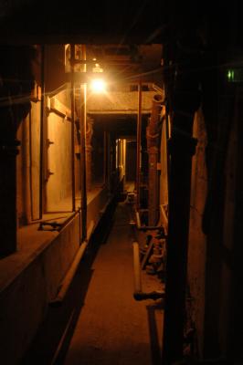 DSC_4815a.jpg