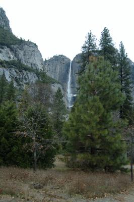 DSC_4917a.jpg