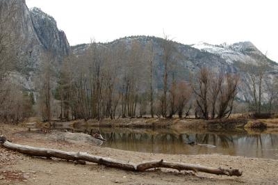 DSC_4921a.jpg