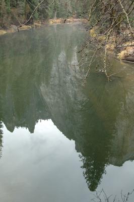 DSC_4932a.jpg