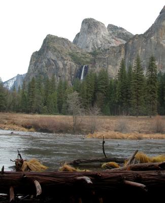 DSC_4937a.jpg