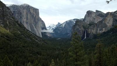 DSC_4944a.jpg