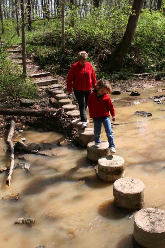 Fording the creek