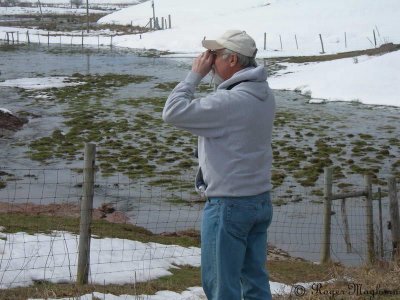 Scanning for Raptors