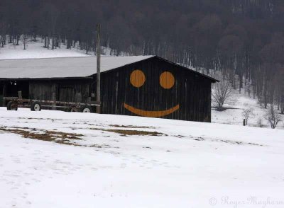 This Happy Barn Must Have Happy Cows