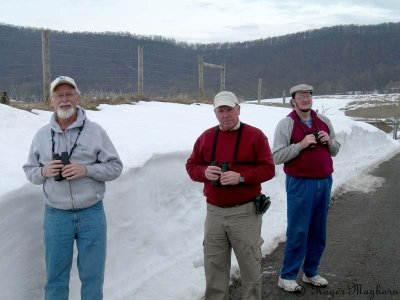 Burkes Garden Birding - March 10, 2010