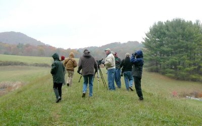 Identifying the ducks at the far end