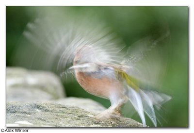 Lift off!