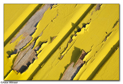 Flakey Paint