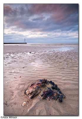 Littlehampton Beachscape