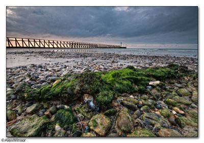 Beachscape