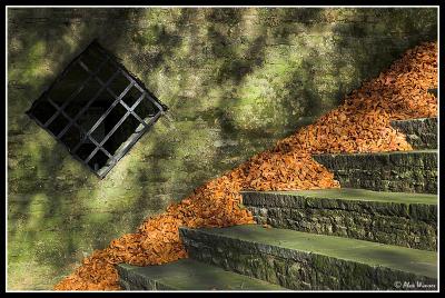 g3/65/523365/3/53616564.DSC_268701_StepsLeaves.jpg