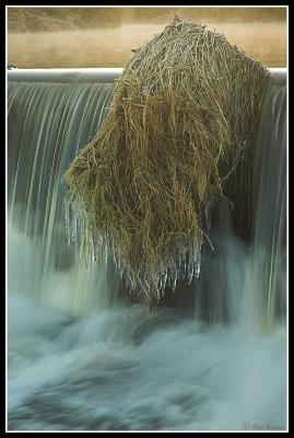 Weir Icicles