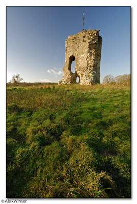 Knepp Castle Remains
