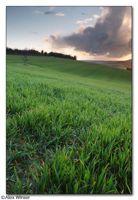 Bury Hill, View From