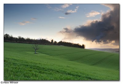 Bury Hill, View From