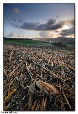 Bury Hill, View From