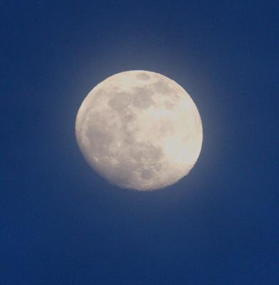 IMG_2489.jpg