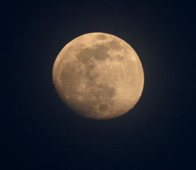 IMG_2491.jpg