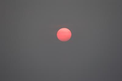 IMG_4802.jpg