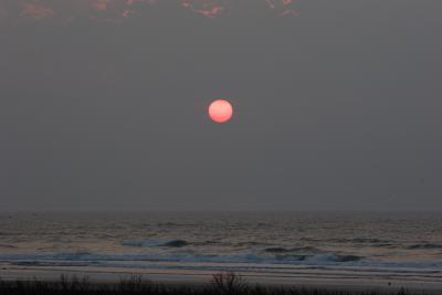 IMG_4803.jpg