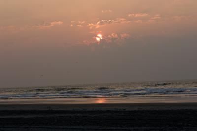 IMG_4809.jpg