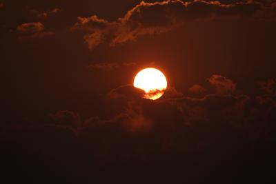 IMG_4810.jpg