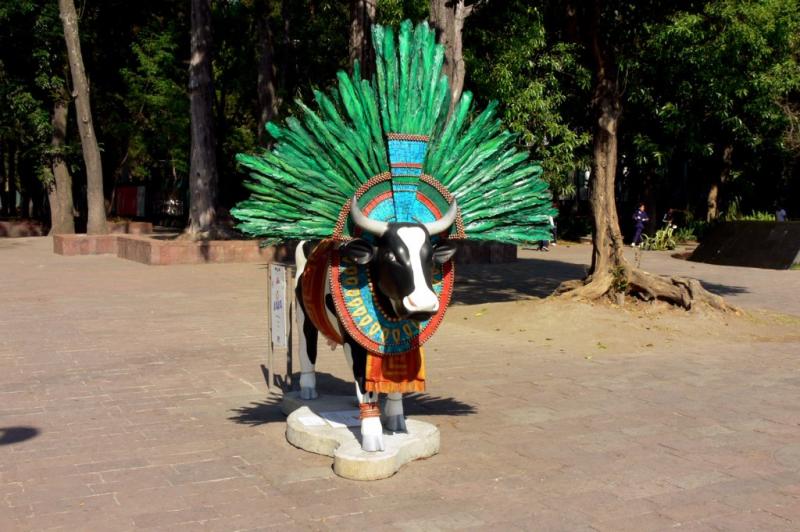 The Cow Parade - Museum of Anthroplogy, Mexico City