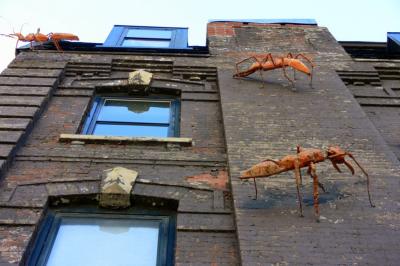 The invasion has begun.... - Images from the streets of Toronto, Queen West area.