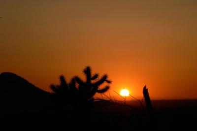 Arizona desert sunset....