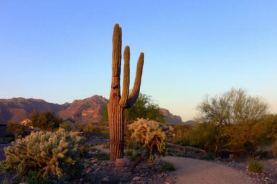 Superstition Mountain just before sunset...