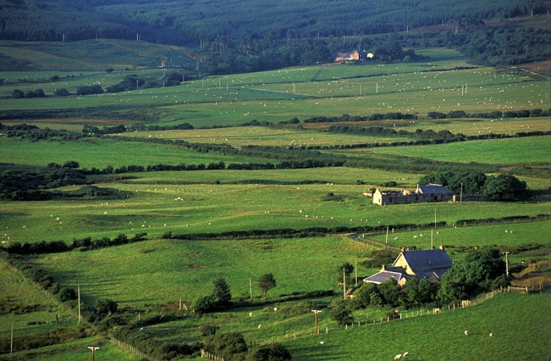 Arran Island