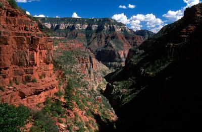 North Rim of the Grand Canyon