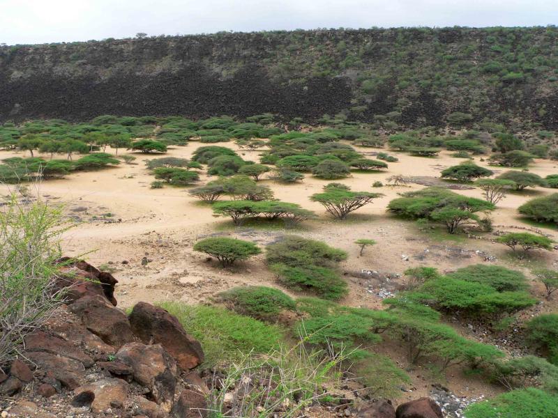 oued de korambado.jpg