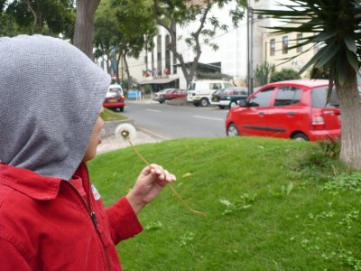 P1010239.JPG