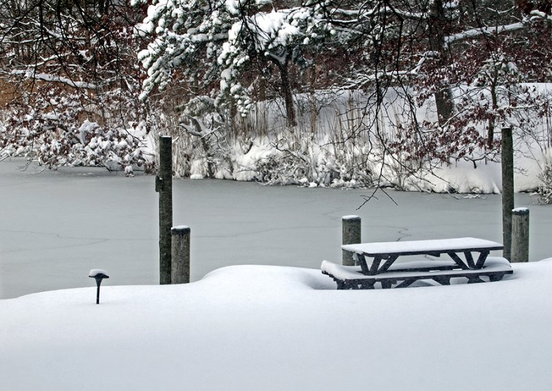 Winter on Long Island, Dec. 2009