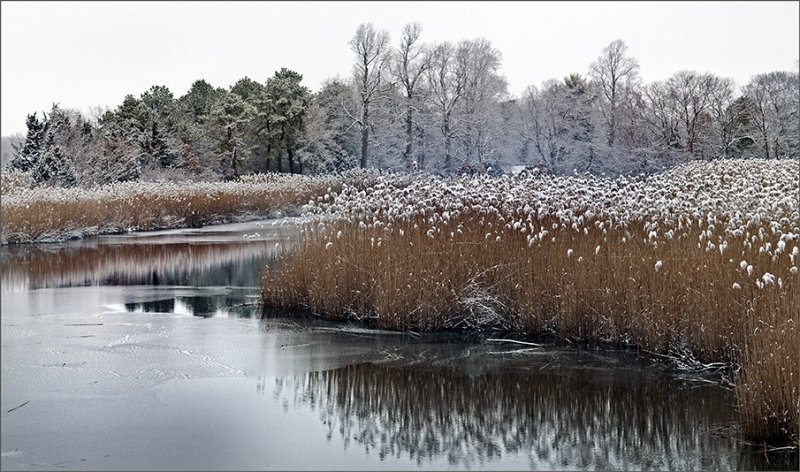 Winter on Long Island, Dec. 2009