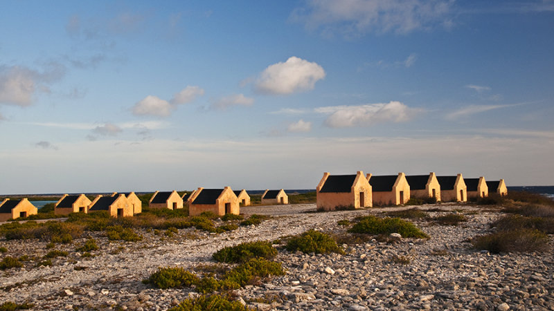 many huts