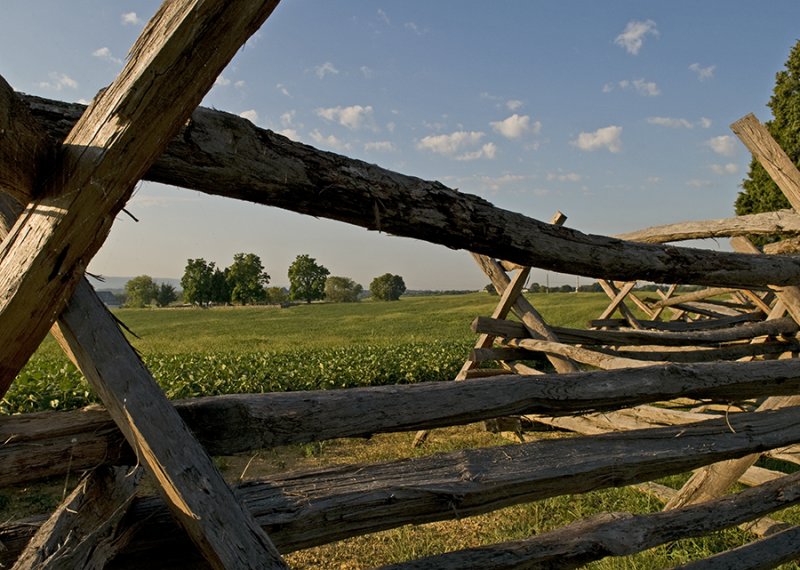 Antietam field