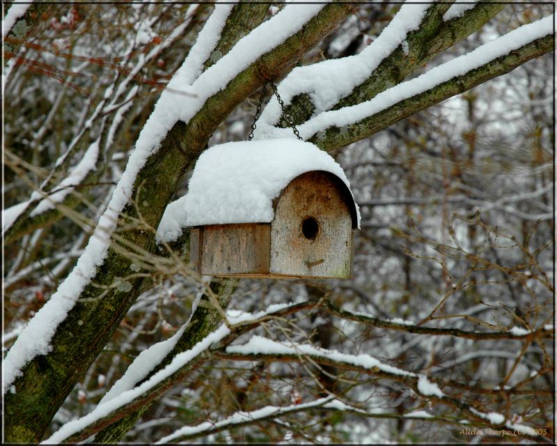 birdhouse and the first snow