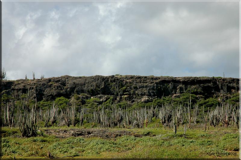 National Park of Bonaire