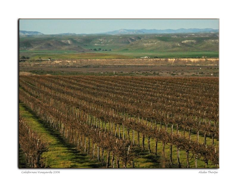 California Vineyards