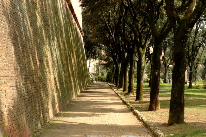 Walls of Siena