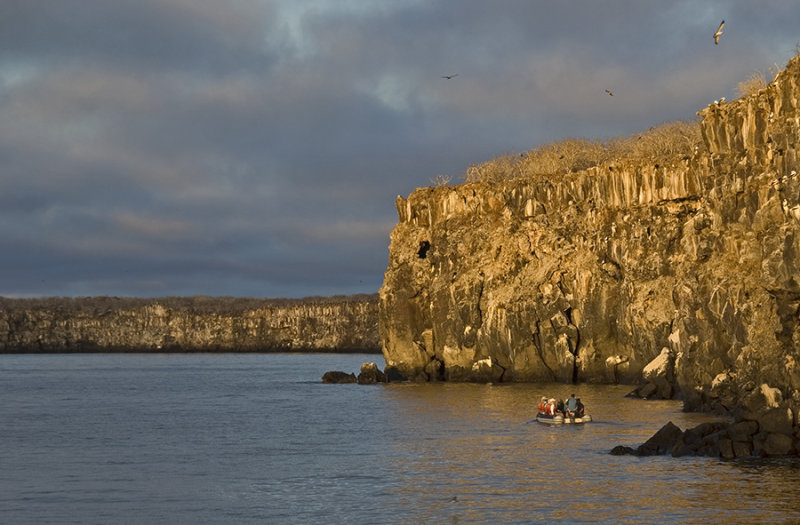  genovesa island